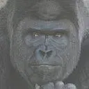 :ikemen_gorilla: